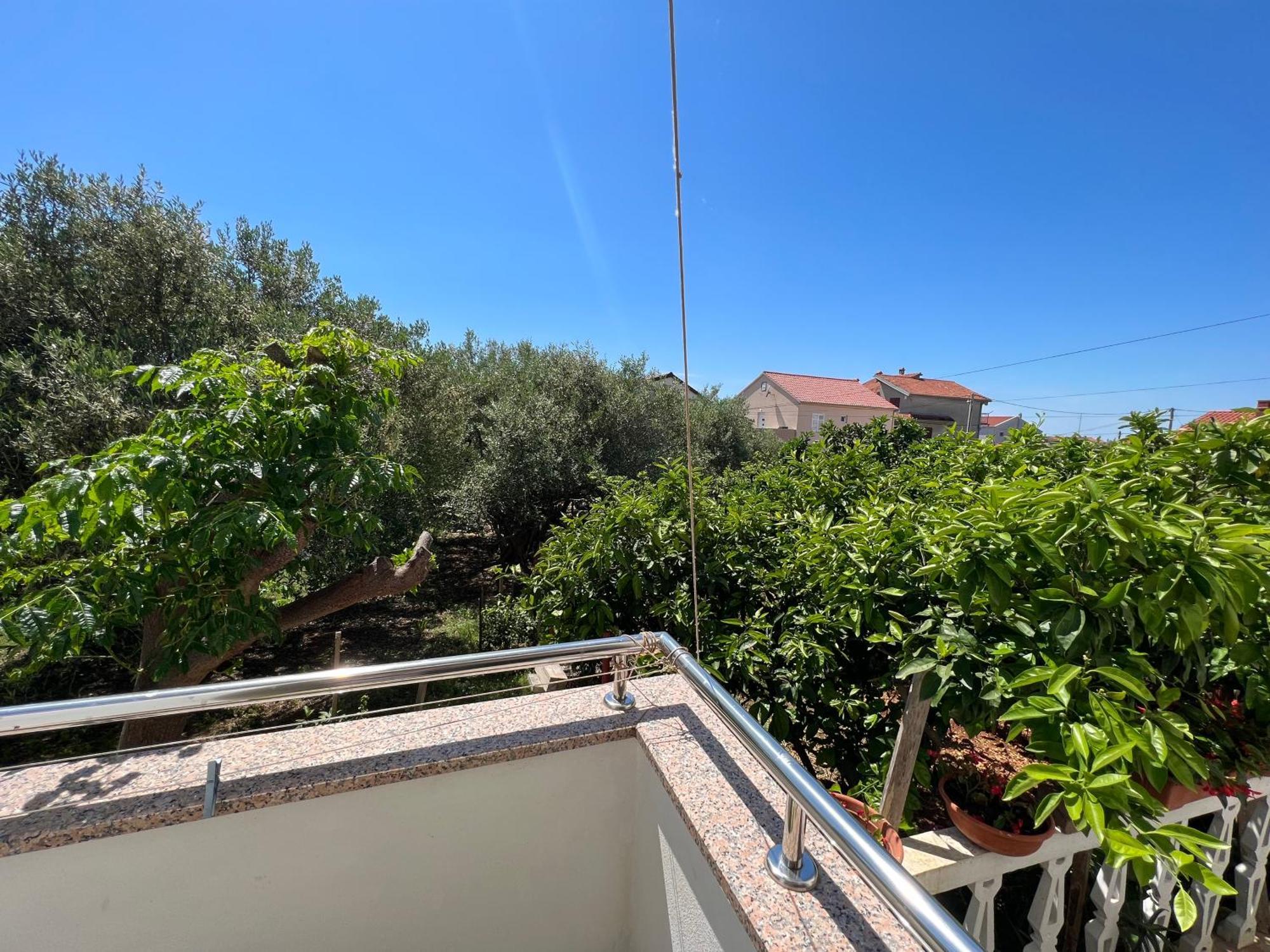 Lisica Apartment Bibinje Bagian luar foto